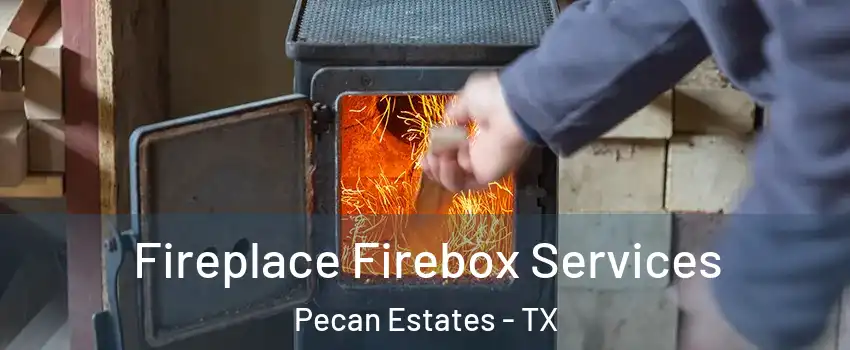 Fireplace Firebox Services Pecan Estates - TX