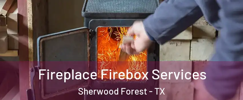 Fireplace Firebox Services Sherwood Forest - TX