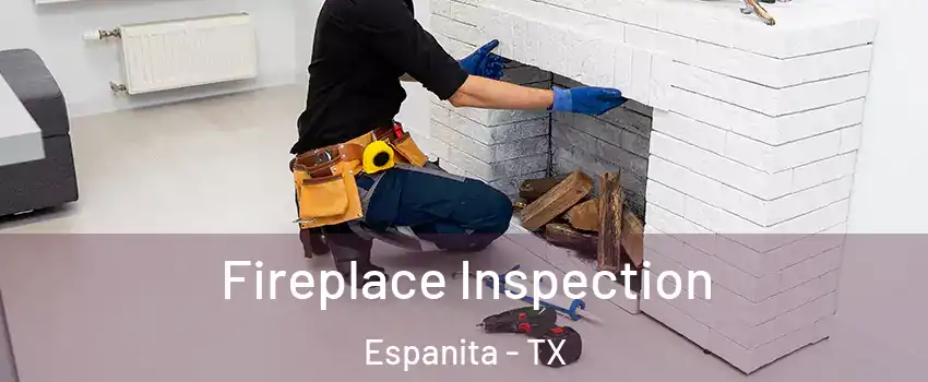 Fireplace Inspection Espanita - TX