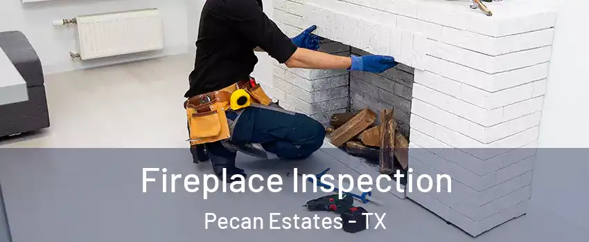 Fireplace Inspection Pecan Estates - TX