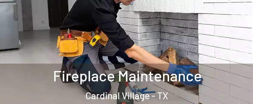 Fireplace Maintenance Cardinal Village - TX