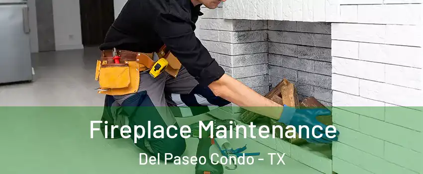 Fireplace Maintenance Del Paseo Condo - TX