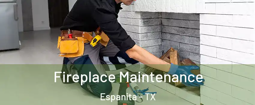 Fireplace Maintenance Espanita - TX