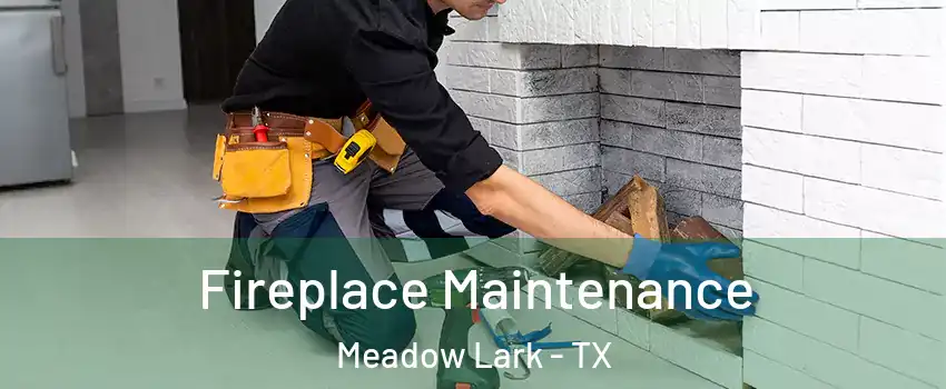 Fireplace Maintenance Meadow Lark - TX