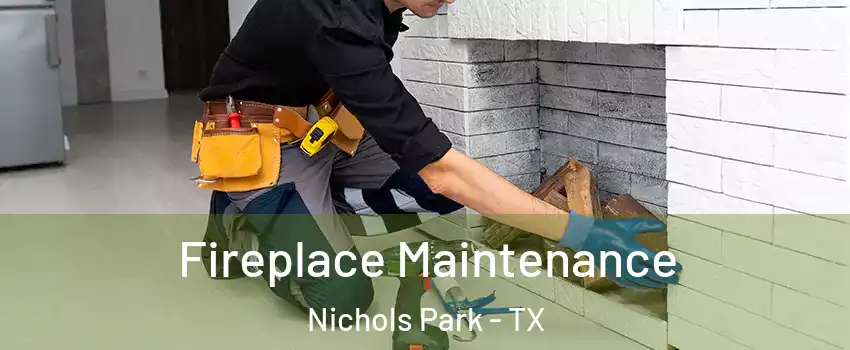 Fireplace Maintenance Nichols Park - TX