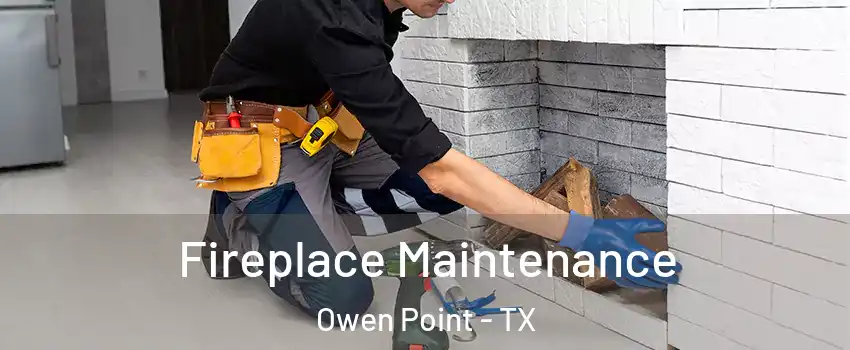 Fireplace Maintenance Owen Point - TX