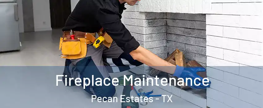 Fireplace Maintenance Pecan Estates - TX