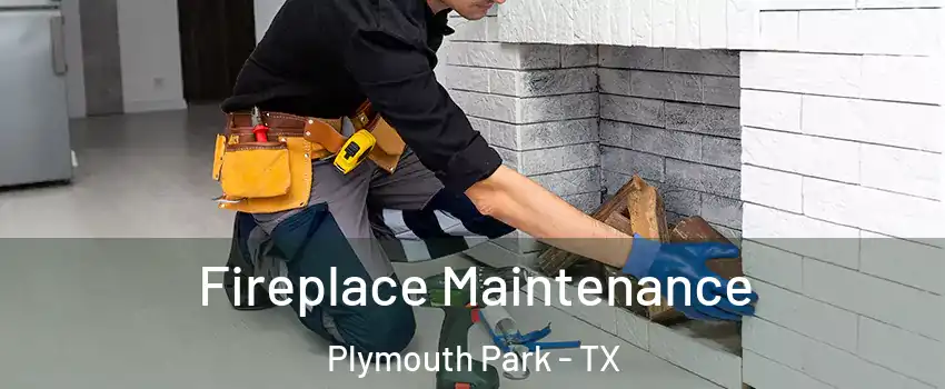 Fireplace Maintenance Plymouth Park - TX