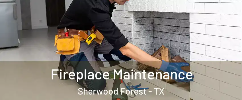 Fireplace Maintenance Sherwood Forest - TX