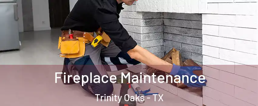 Fireplace Maintenance Trinity Oaks - TX