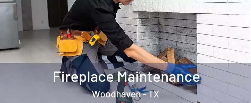 Fireplace Maintenance Woodhaven - TX