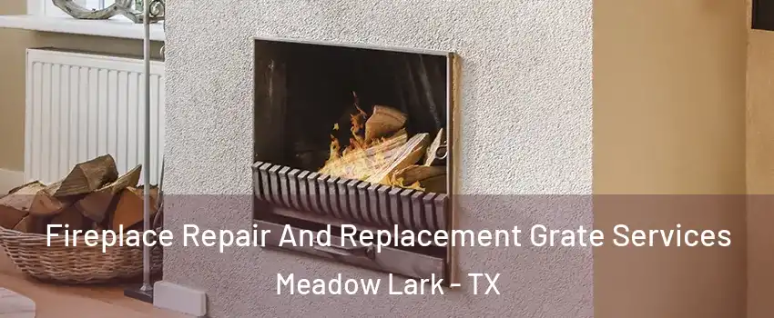 Fireplace Repair And Replacement Grate Services Meadow Lark - TX
