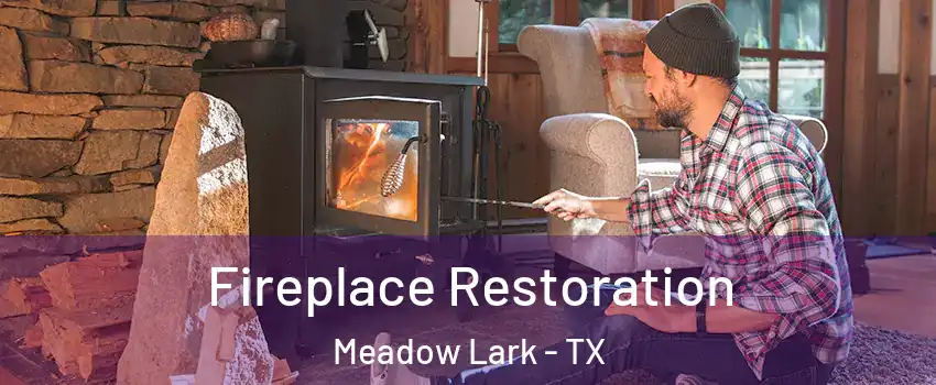 Fireplace Restoration Meadow Lark - TX