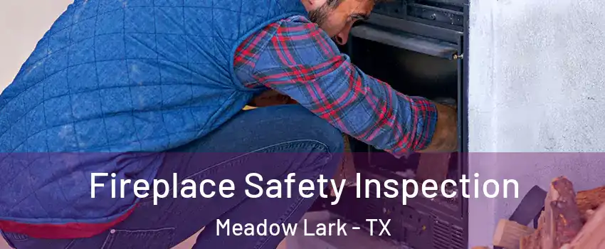 Fireplace Safety Inspection Meadow Lark - TX