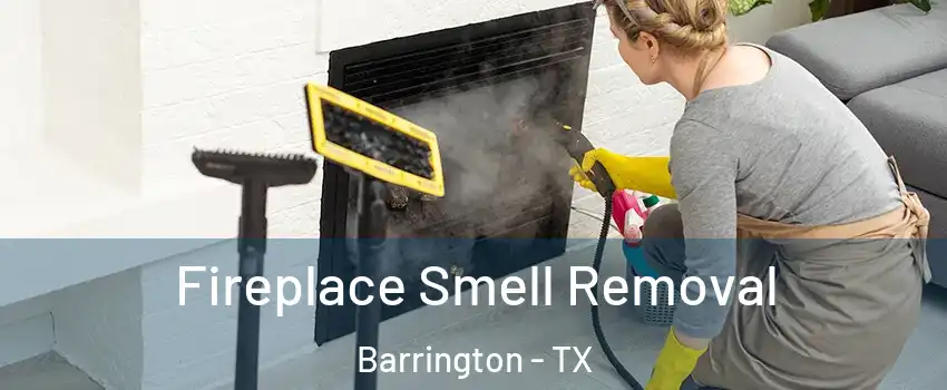 Fireplace Smell Removal Barrington - TX