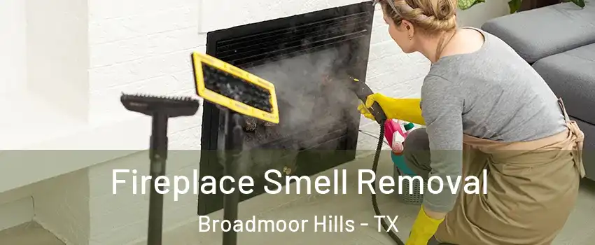 Fireplace Smell Removal Broadmoor Hills - TX