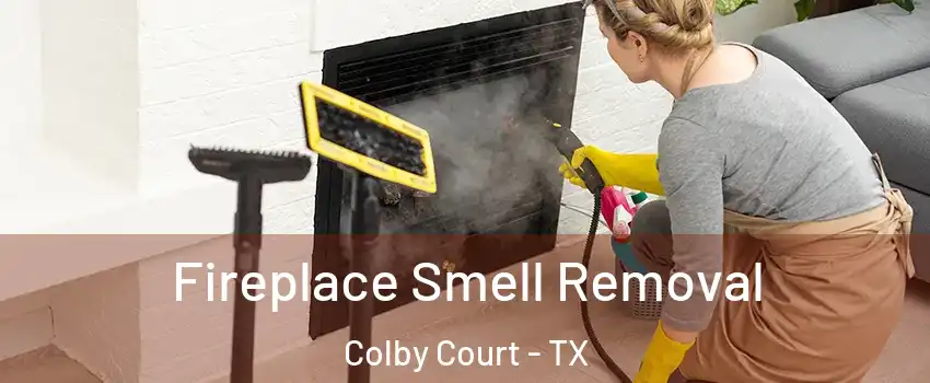 Fireplace Smell Removal Colby Court - TX