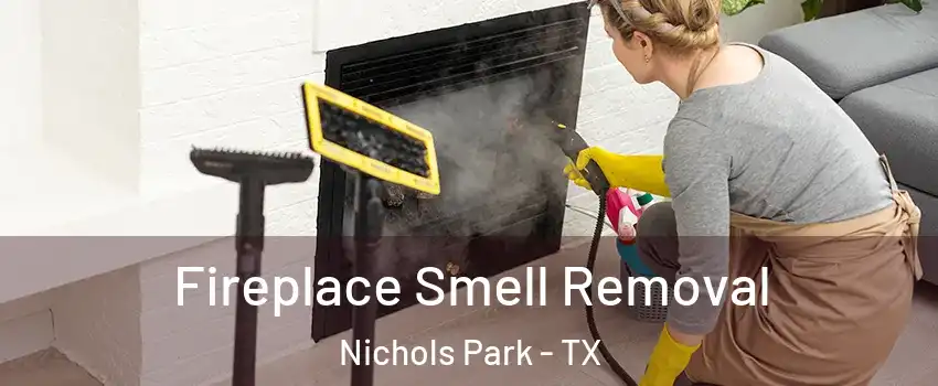 Fireplace Smell Removal Nichols Park - TX