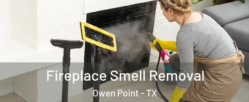 Fireplace Smell Removal Owen Point - TX