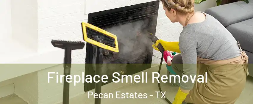 Fireplace Smell Removal Pecan Estates - TX