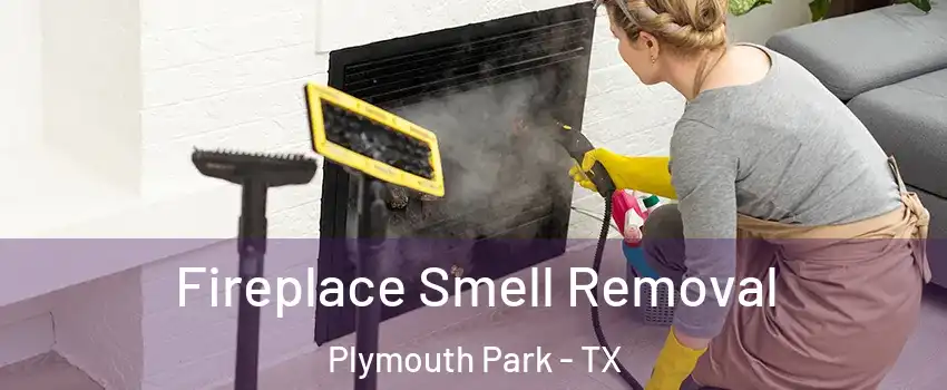 Fireplace Smell Removal Plymouth Park - TX