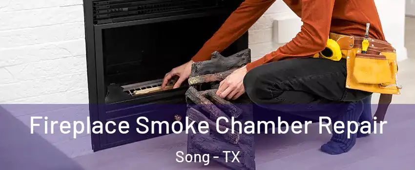 Fireplace Smoke Chamber Repair Song - TX