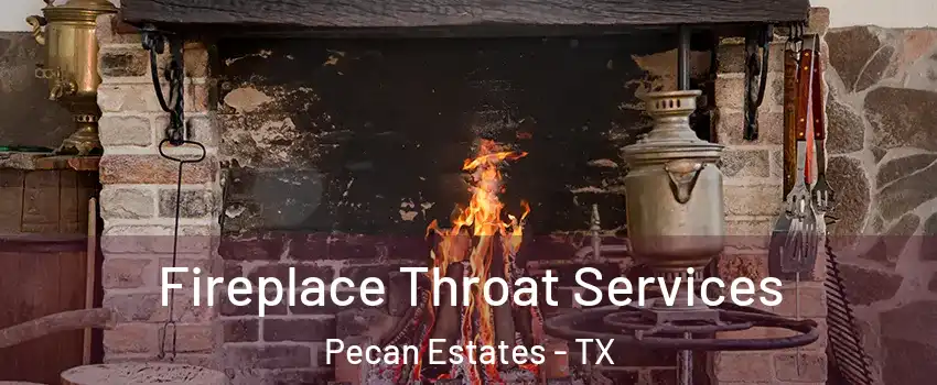 Fireplace Throat Services Pecan Estates - TX