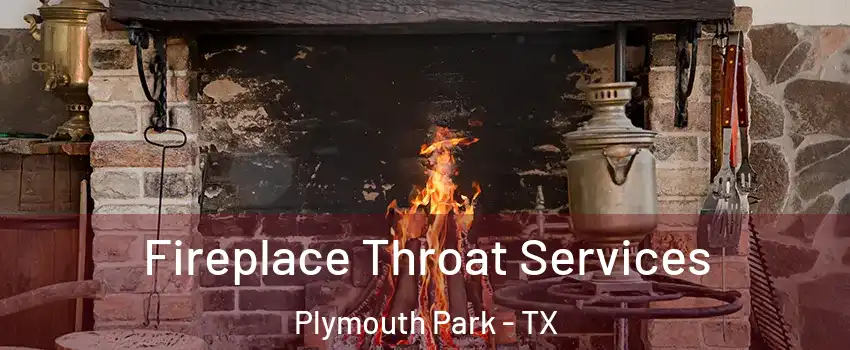 Fireplace Throat Services Plymouth Park - TX