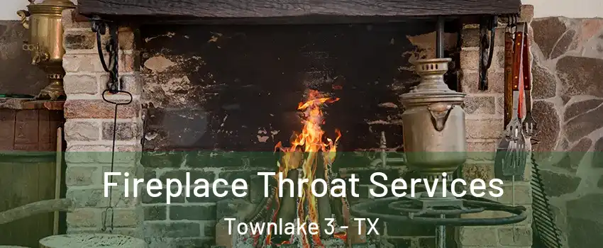 Fireplace Throat Services Townlake 3 - TX
