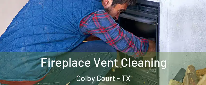 Fireplace Vent Cleaning Colby Court - TX