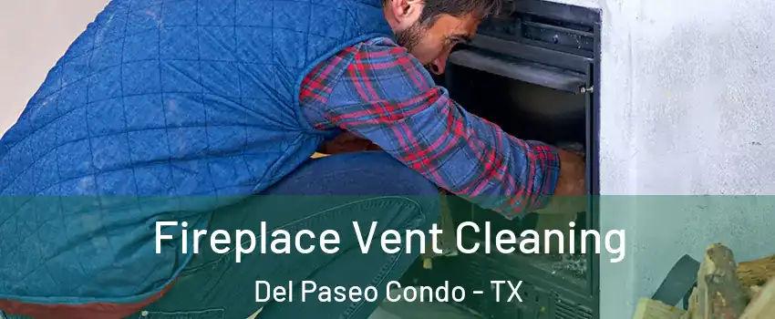 Fireplace Vent Cleaning Del Paseo Condo - TX