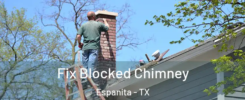 Fix Blocked Chimney Espanita - TX