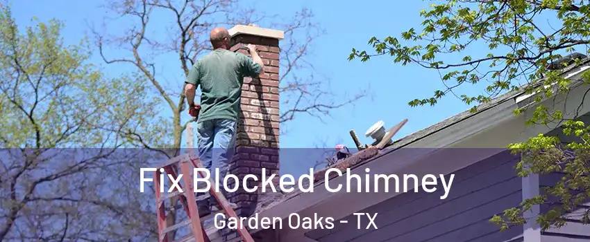 Fix Blocked Chimney Garden Oaks - TX
