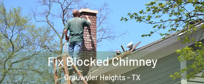 Fix Blocked Chimney Grauwyler Heights - TX