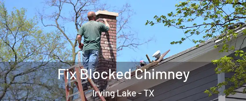 Fix Blocked Chimney Irving Lake - TX