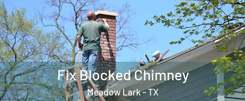 Fix Blocked Chimney Meadow Lark - TX