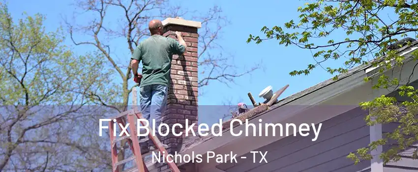 Fix Blocked Chimney Nichols Park - TX
