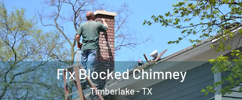 Fix Blocked Chimney Timberlake - TX