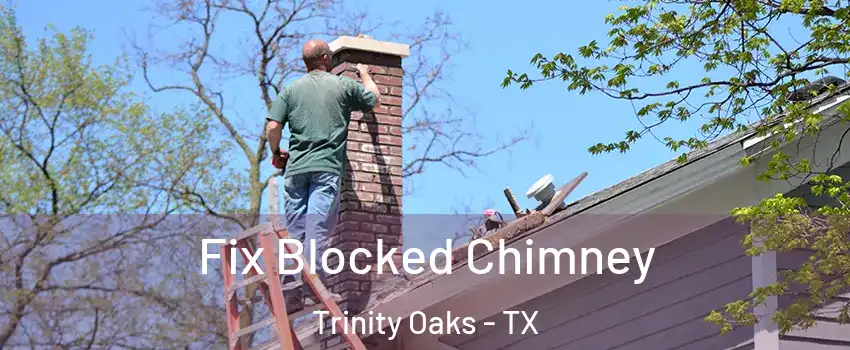 Fix Blocked Chimney Trinity Oaks - TX