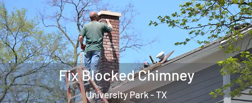 Fix Blocked Chimney University Park - TX
