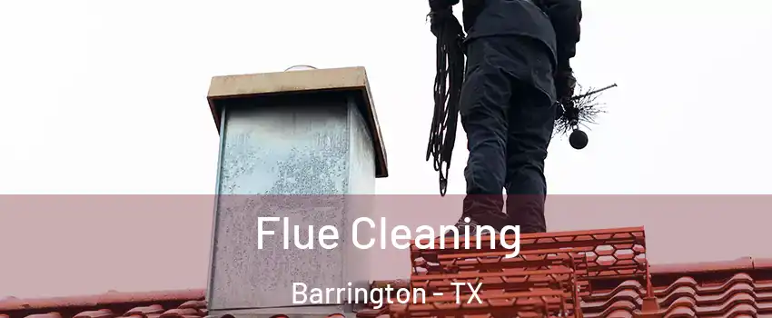 Flue Cleaning Barrington - TX