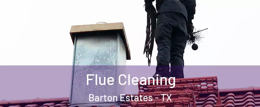Flue Cleaning Barton Estates - TX