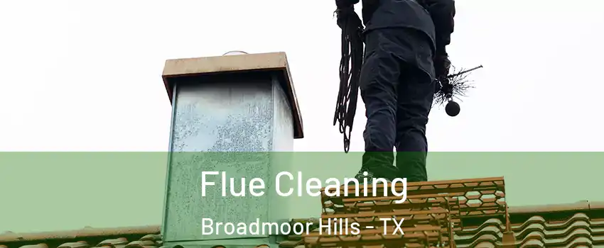 Flue Cleaning Broadmoor Hills - TX