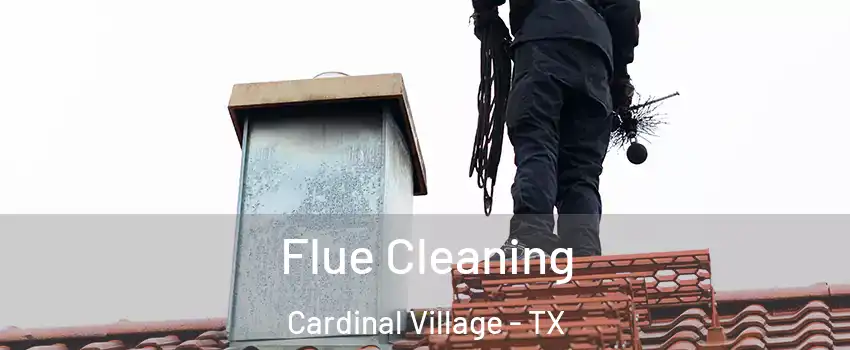 Flue Cleaning Cardinal Village - TX