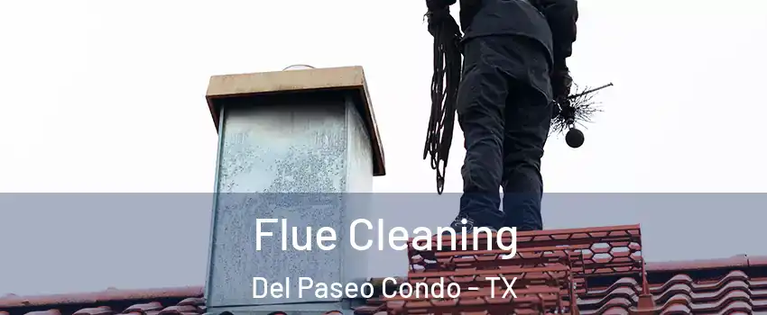 Flue Cleaning Del Paseo Condo - TX