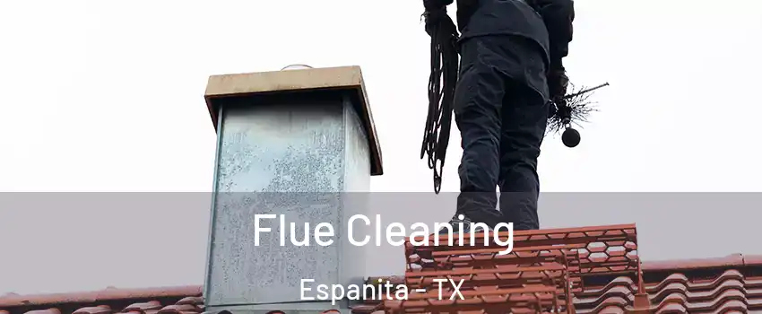 Flue Cleaning Espanita - TX