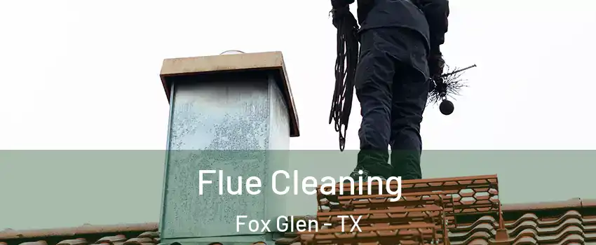 Flue Cleaning Fox Glen - TX