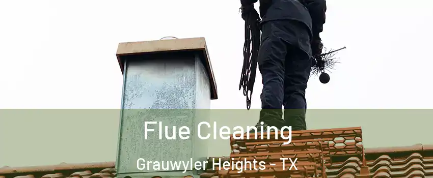 Flue Cleaning Grauwyler Heights - TX