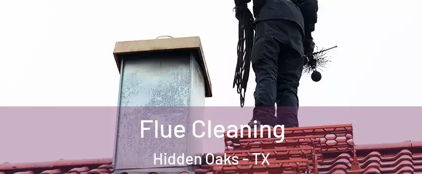 Flue Cleaning Hidden Oaks - TX