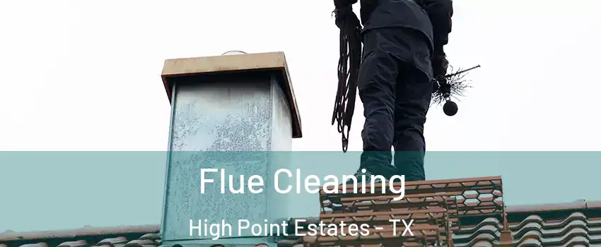 Flue Cleaning High Point Estates - TX